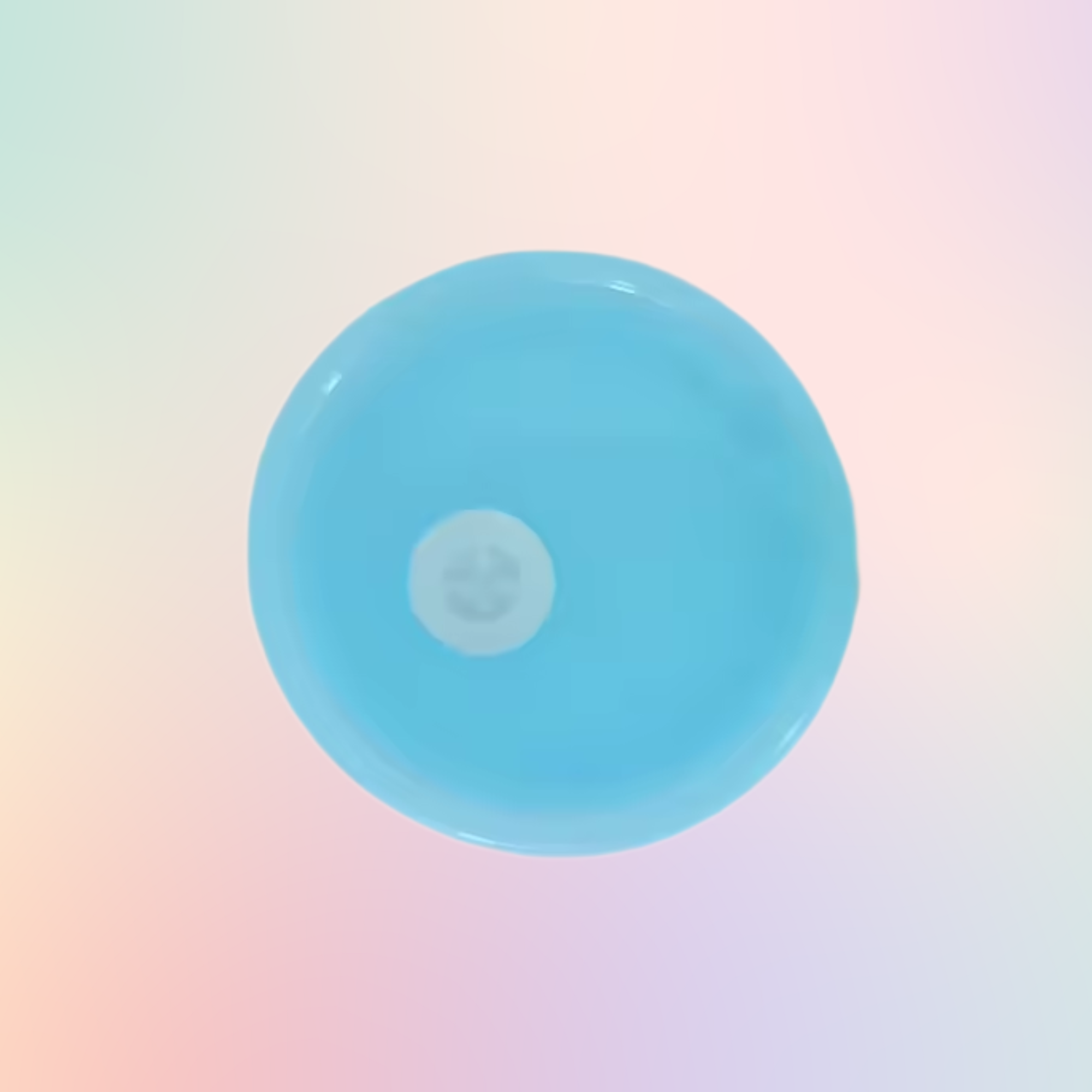 Acrylic Lid for Snow Globes