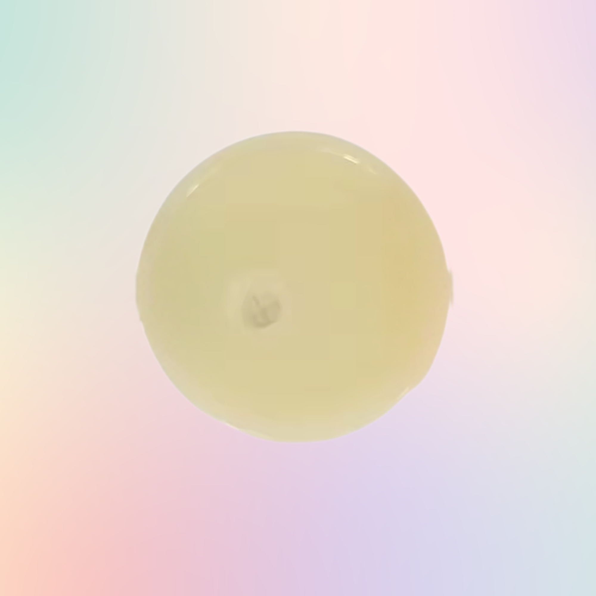 Acrylic Lid for Snow Globes