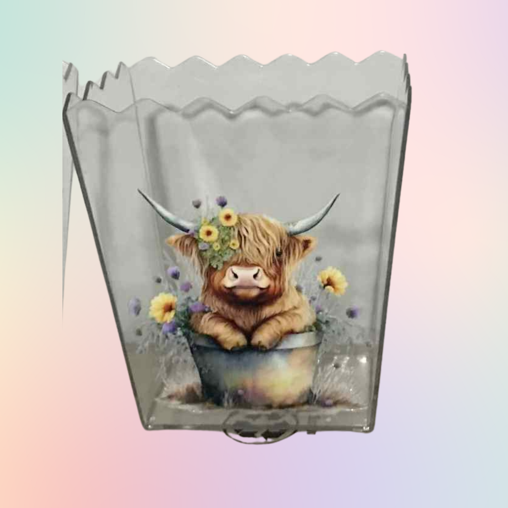 Popcorn Buckets
